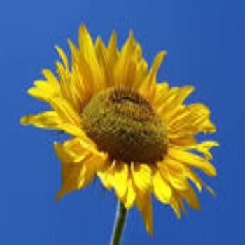 تيست تاني تيست تاني تيست تاني تيست تاني ييي