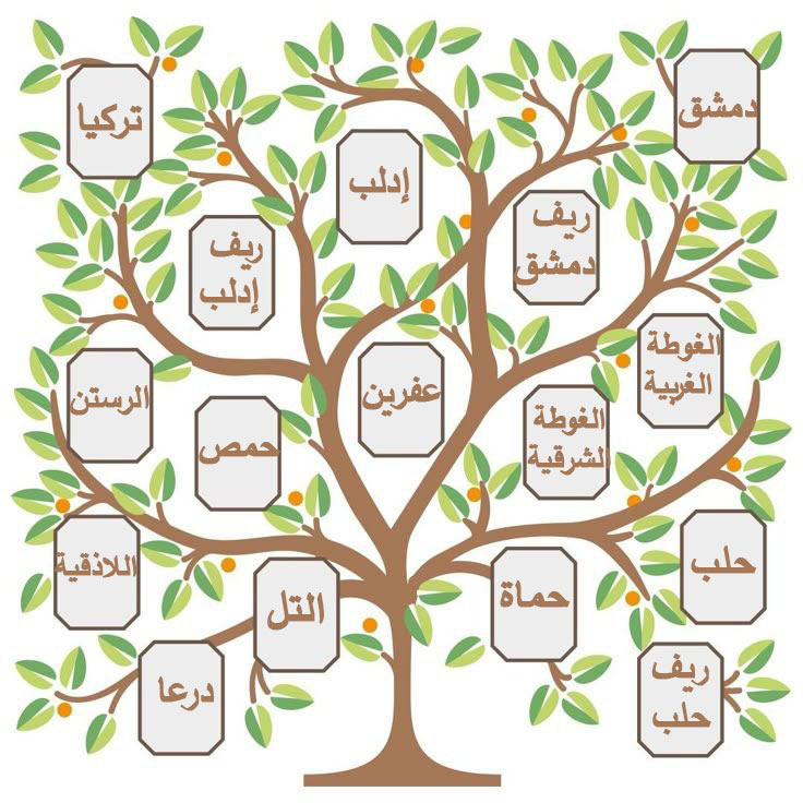 مناطق رياض البراعم