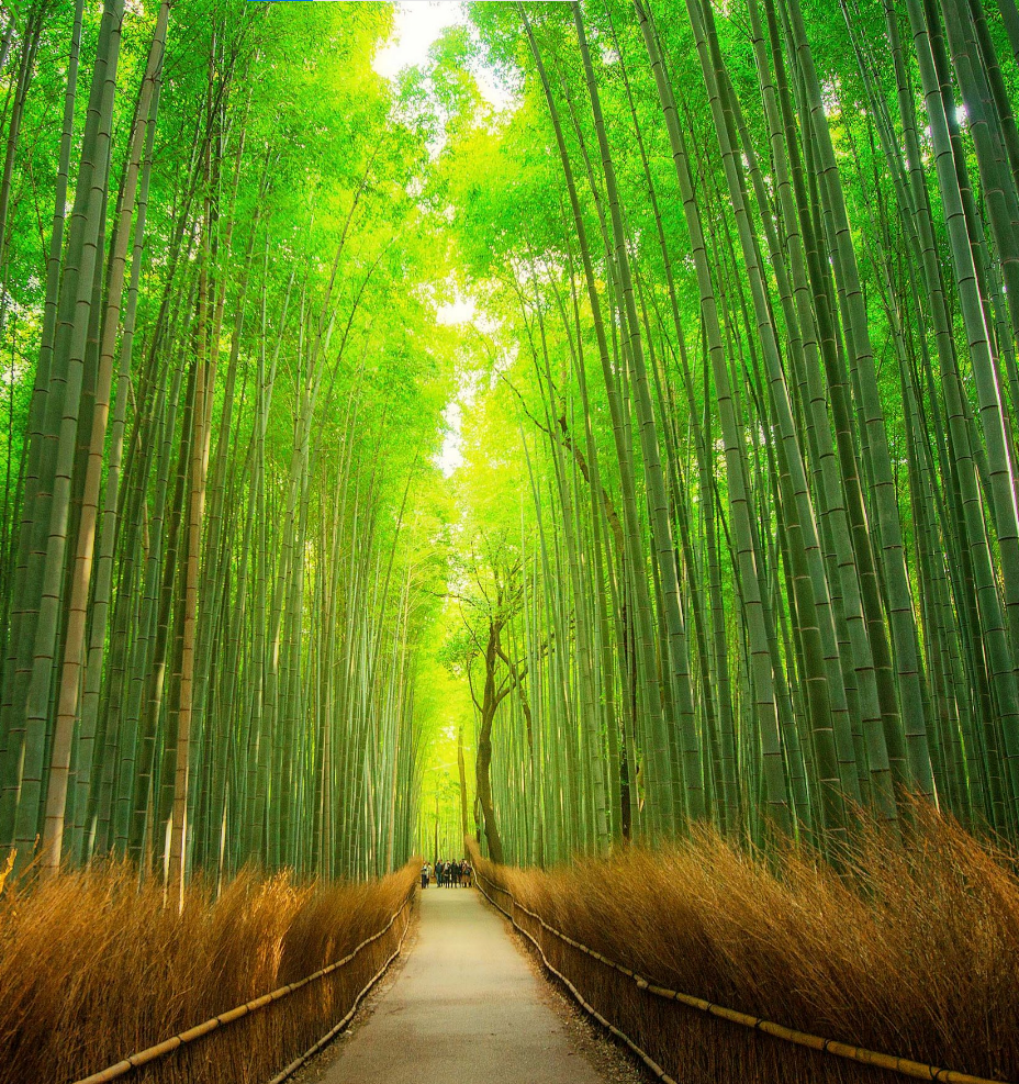 برنامج اللغة العربية